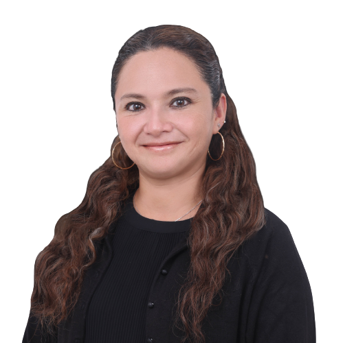 Blog Writer